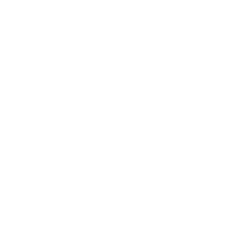DOPPLER DE ARTÉRIAS CARÓTIDAS E VERTEBRAIS