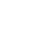ECOCARDIOGRAMA COM STRAIN MIOCÁRDICO